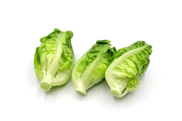LETTUCE ROMAINE HEART 3 PK