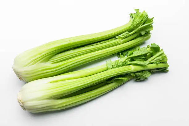 CELERY SLEEVE