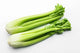 Fresh Salad Dressings